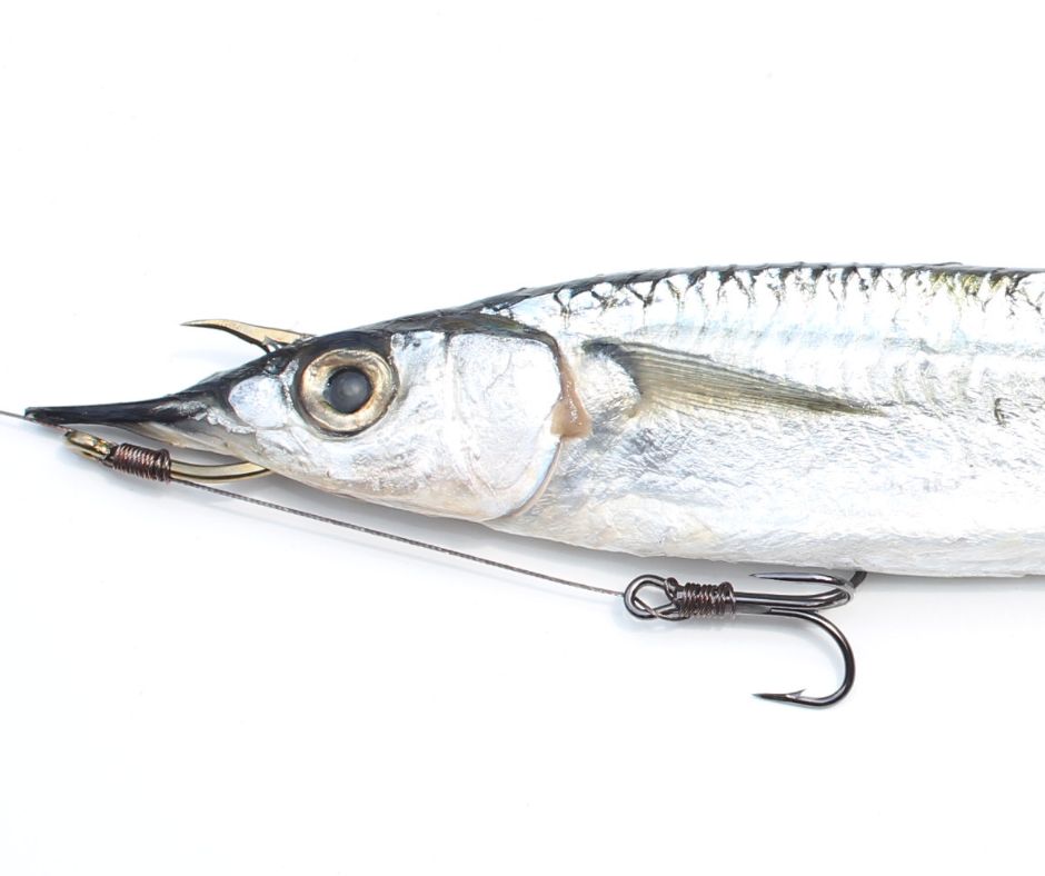 Ultimate Guide to Ballyhoo Fishing