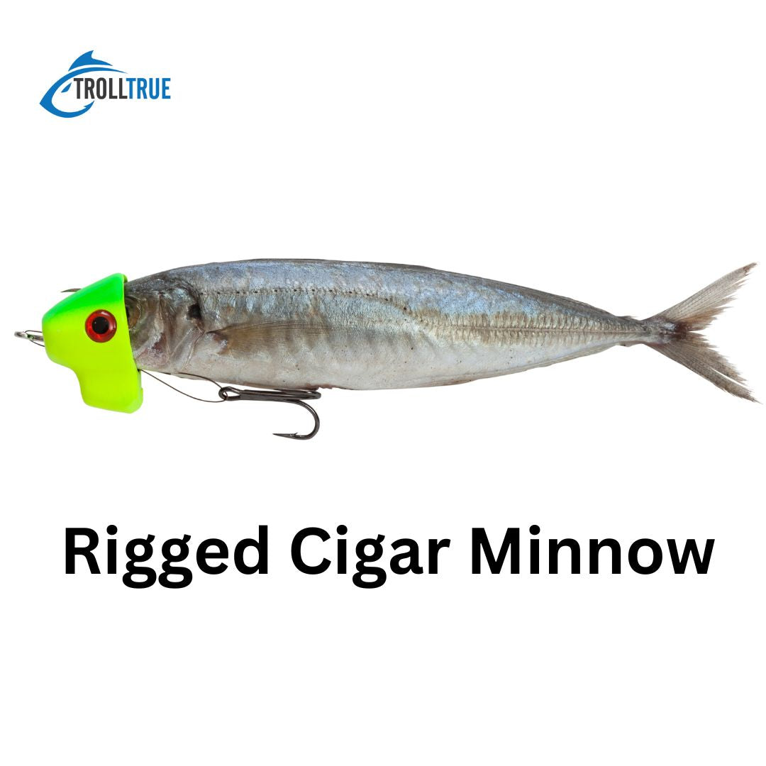 The Humble Cigar Minnow:  Use Them to Up Your Offshore Trolling