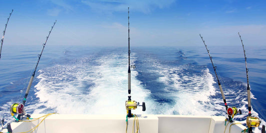 Best Offshore Trolling Speed by Bait and Species - TrollTrue