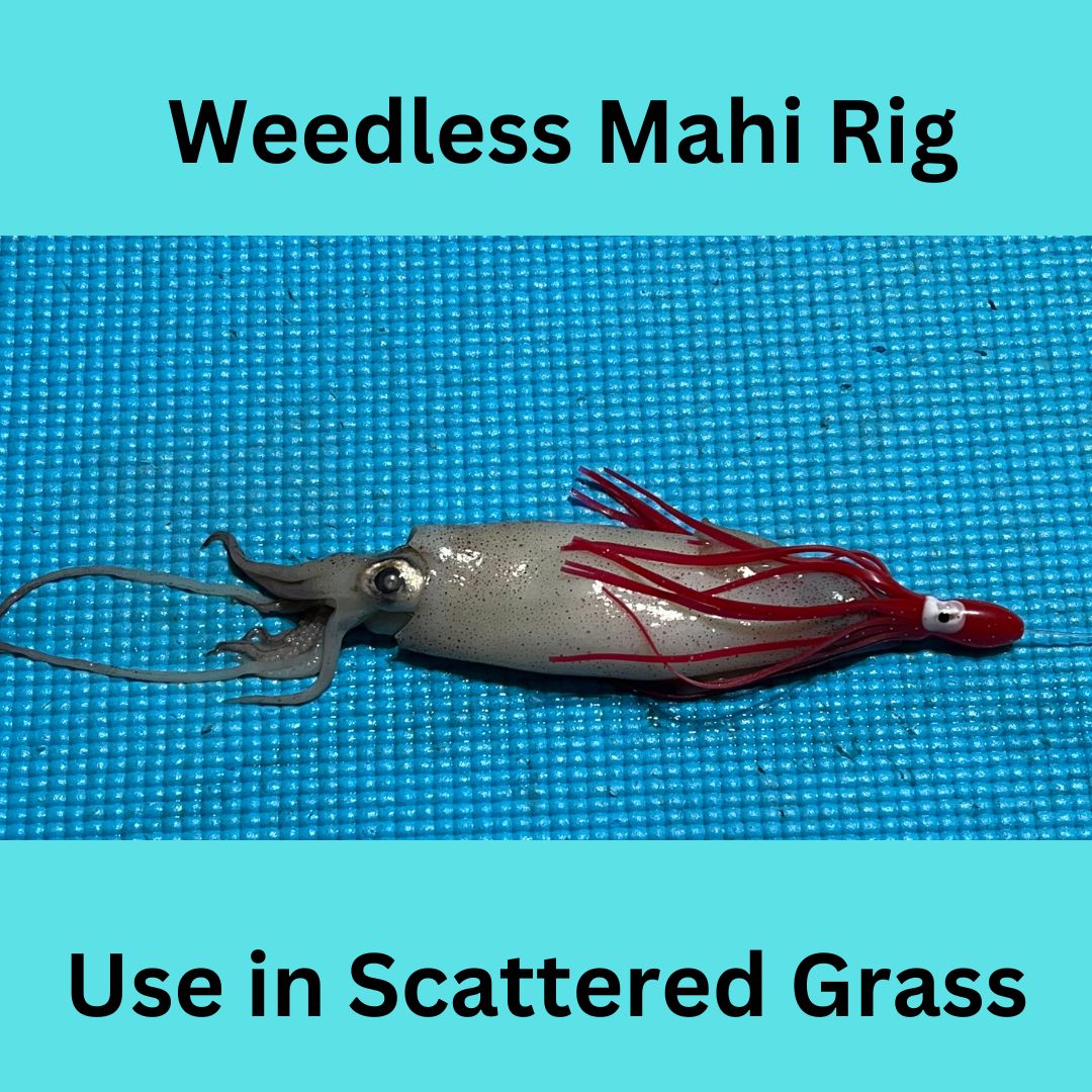 A Weedless Mahi Rig: Trolling Whole Squid in Scattered Grass