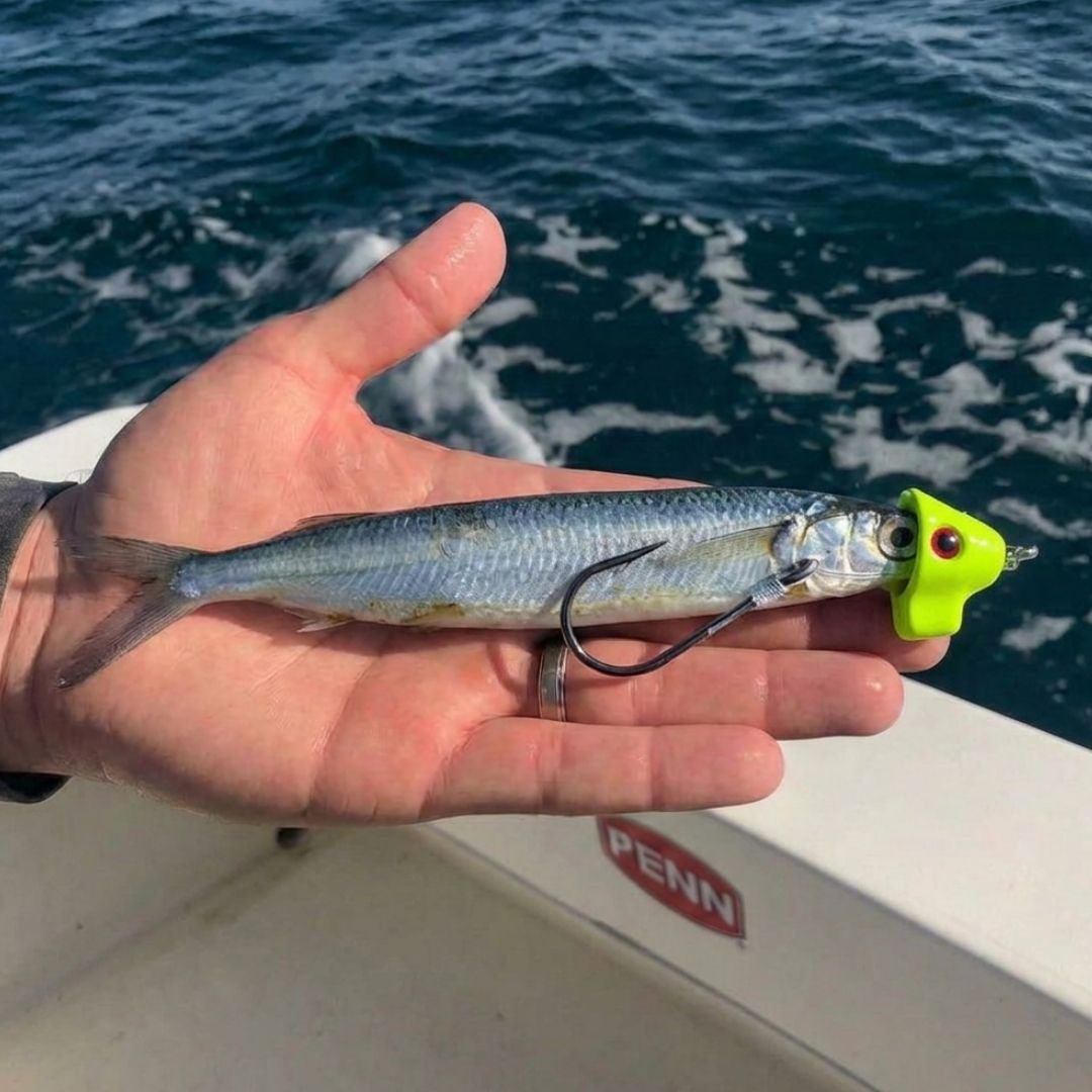Combo Pack with Lures & Rigging (100 lb Rigging)