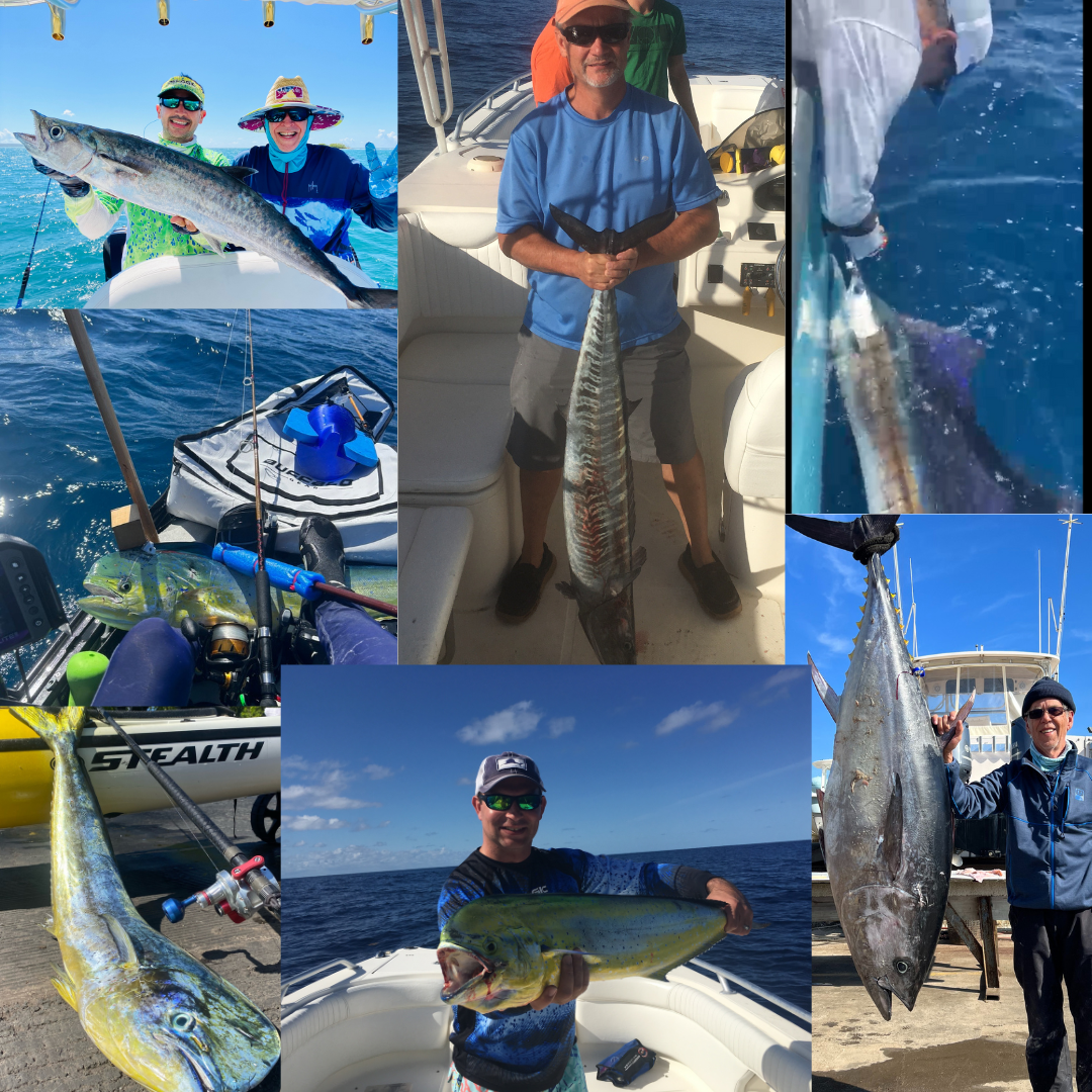 Starter Pack with Lures & Rigging
