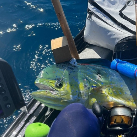 Combo Pack with Lures & Rigging