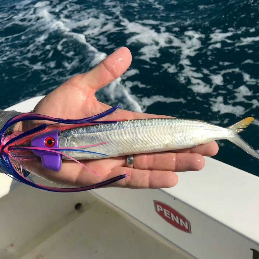 Combo Pack Plus Free Rigging Offer