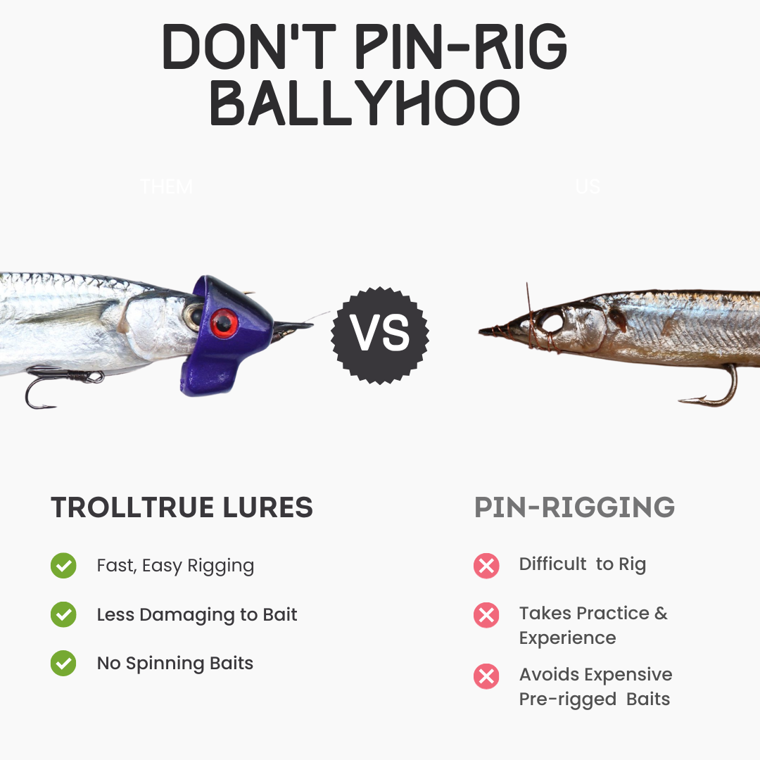 Live Bait King Mackerel Tackle Better Ballyhoo Baits King Mackerel