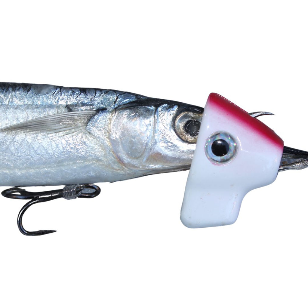 12 King Mackerel Fishing Tips, Kingfish Lures & Rigs