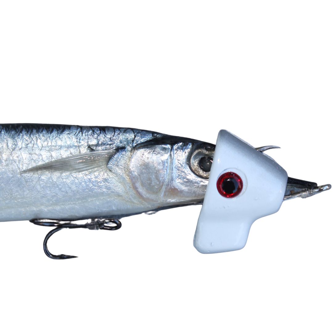 Starter Pack with Lures & Rigging