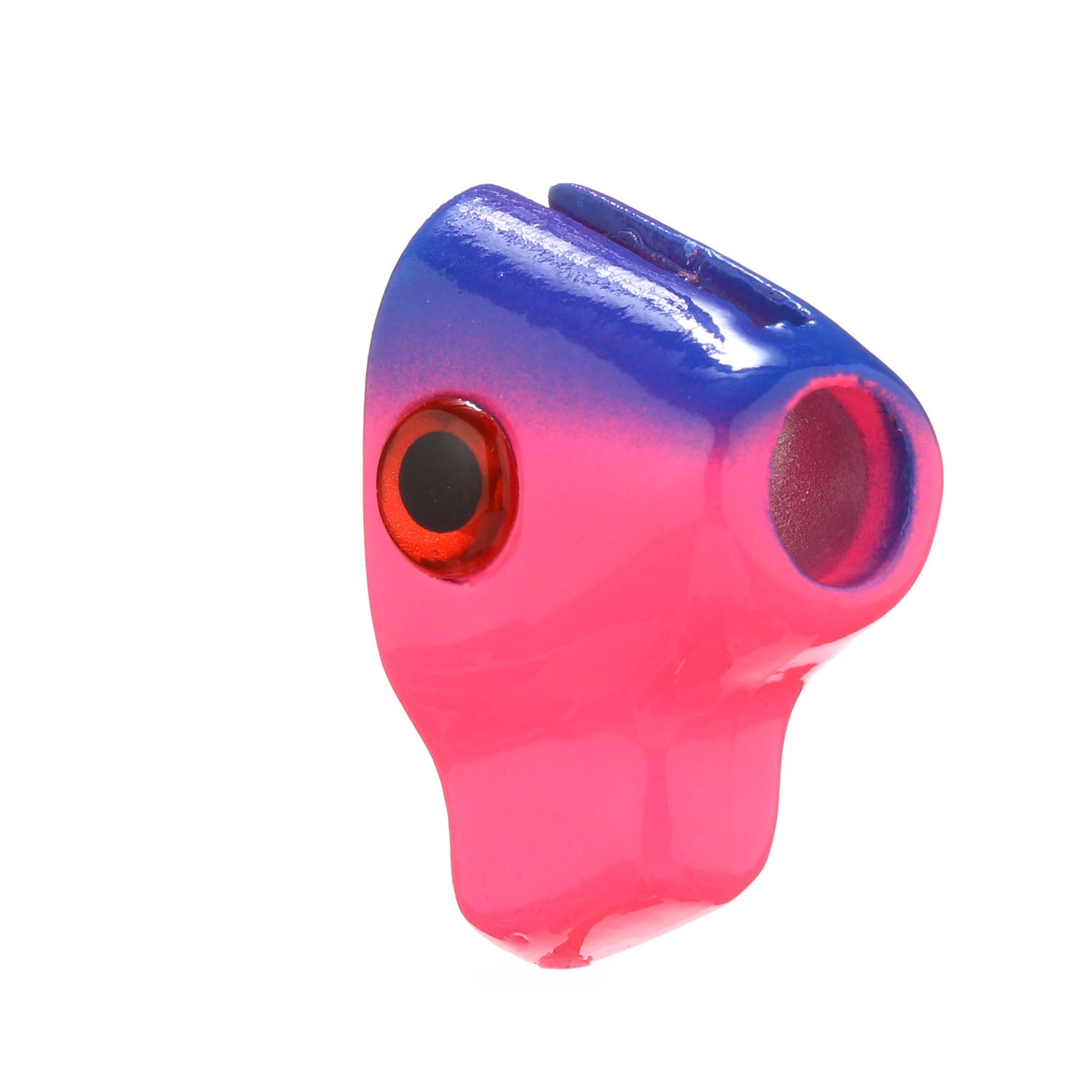 Ballyhoo Fish